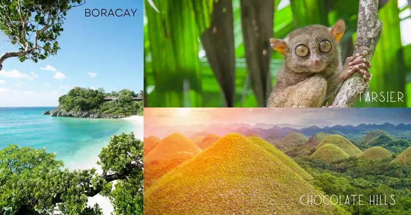 3 photos - tarsier, a primate with massive yes and tiny bodies, brown little hills with sunsert background, white sandy beach with trees- 3-weeks in the philippines