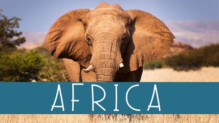 an elephant with a text on the front - AFRICA