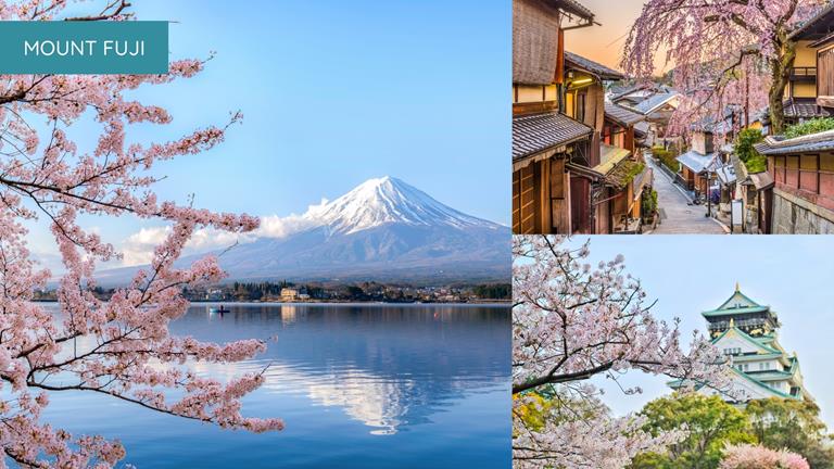 3 images - left is Mount Fuji. Bottom right is Osaka Castle